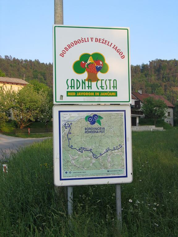 Pri Lazarju Farm Stay Podgrad  المظهر الخارجي الصورة
