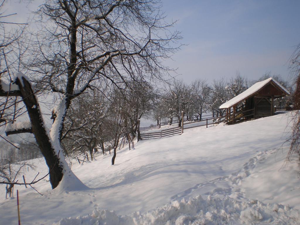 Pri Lazarju Farm Stay Podgrad  المظهر الخارجي الصورة