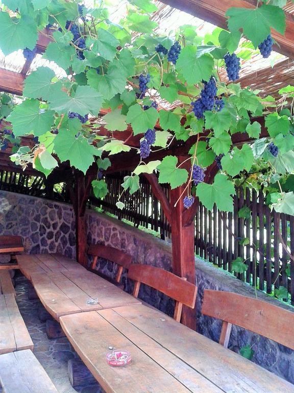 Pri Lazarju Farm Stay Podgrad  المظهر الخارجي الصورة